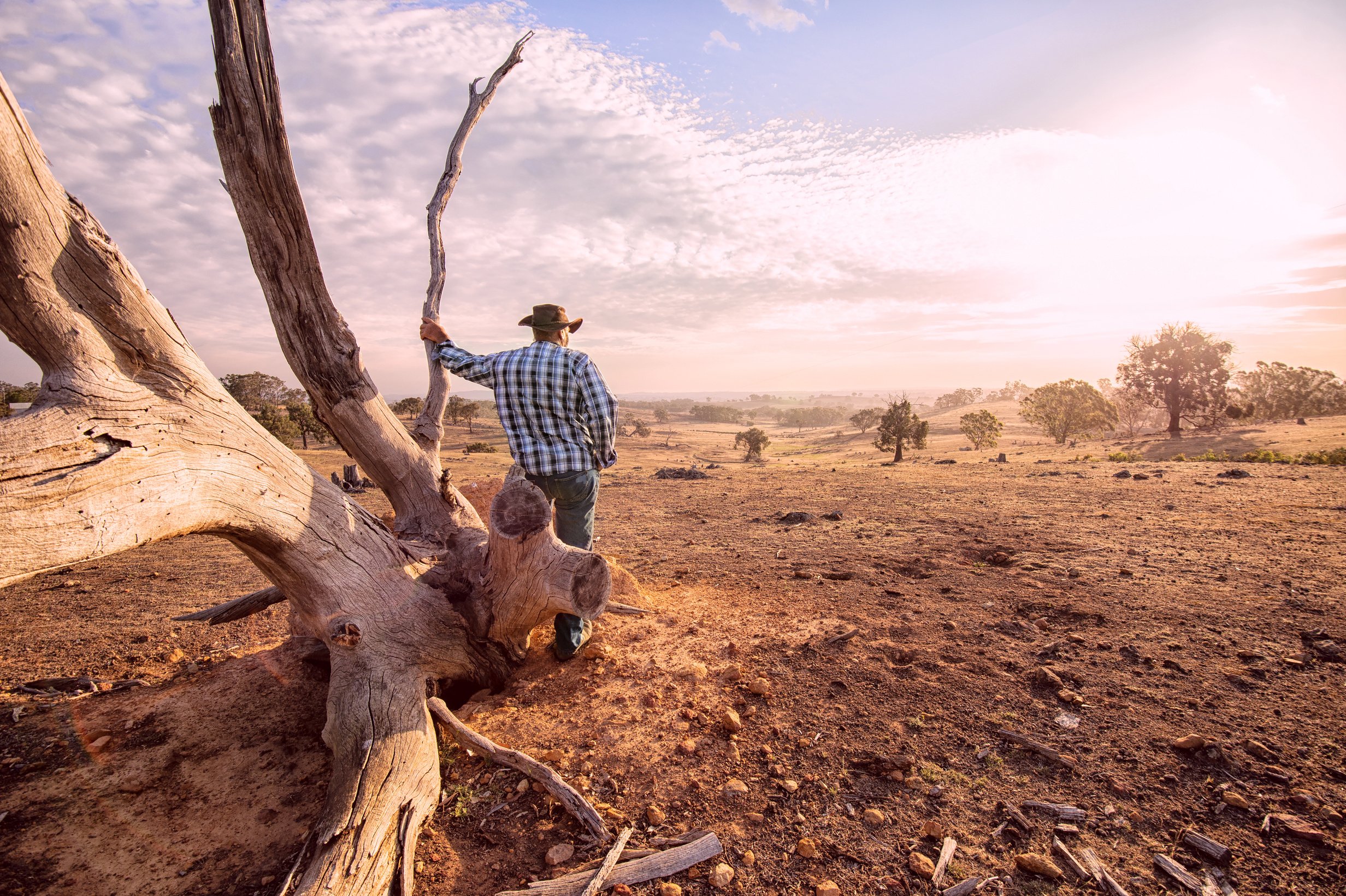 Australian Outback Farmer